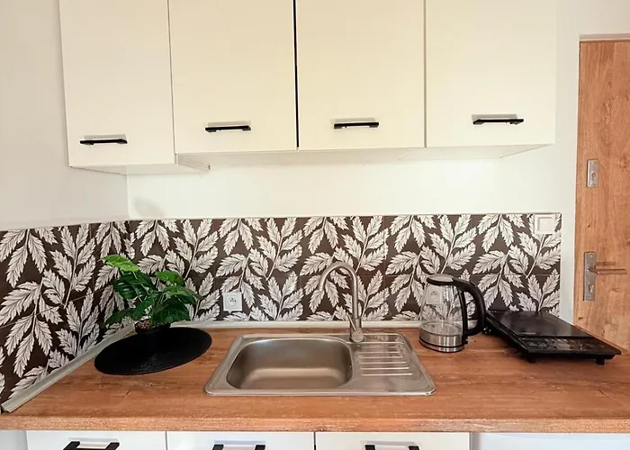 Apartment 43 Swierzawa